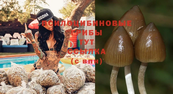 не бодяженный Гусиноозёрск