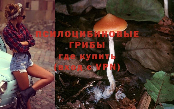 дурь Горняк